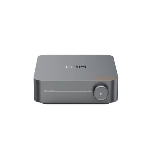Amply WiiM Amp Pro