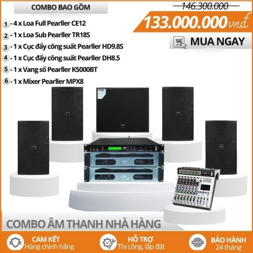 Dàn âm thanh nhà hàng chơi DJ tiêu chuẩn Pearller CE12