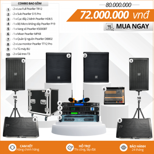 Dàn hát Acoustic chuyên nghiệp Pearller TR12