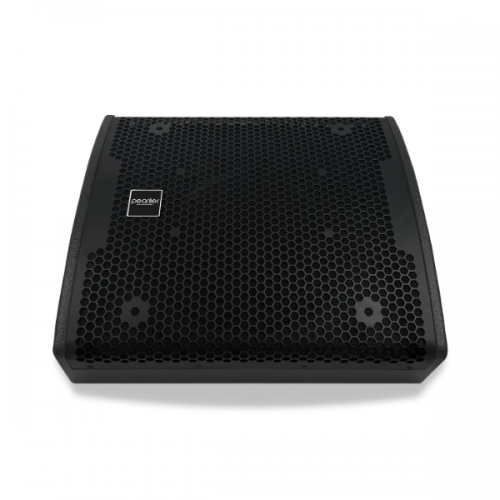 Loa monitor active Pearller M12D