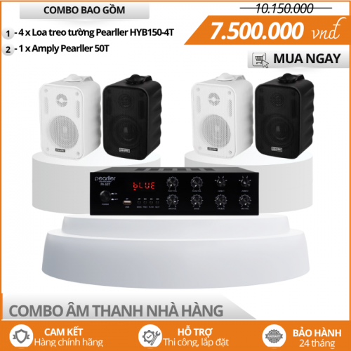 Bộ Dàn Loa Nhỏ Treo Tường Cho Nhà Hàng HYB150-4T
