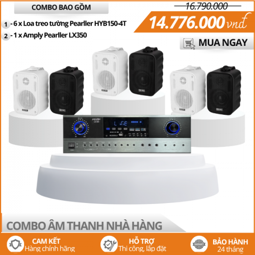 Mẫu Loa Mini Treo Tường HYB150-4T Cho Nhà Hàng