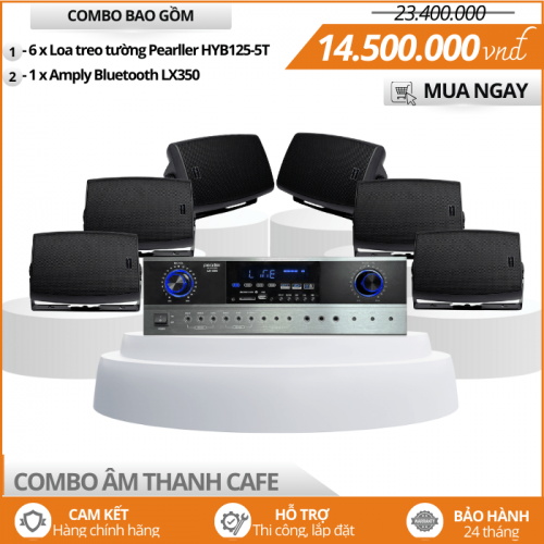 Lắp Đặt Loa Treo Tường Cho Quán Cafe HYB125-5T