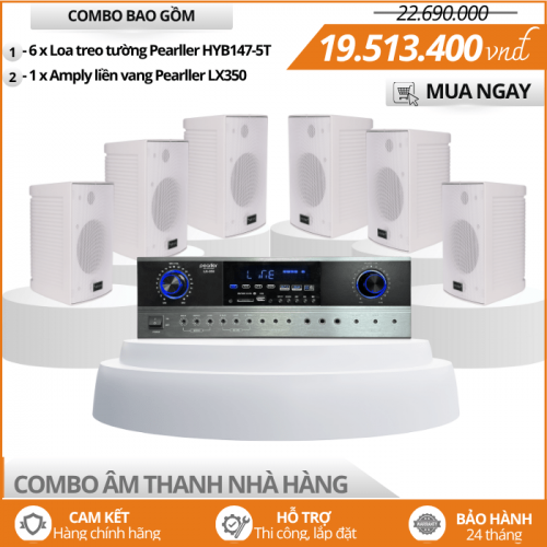 Loa Mini Phát Nhạc Nền Cho Nhà Hàng Pearller HYB147-5T 