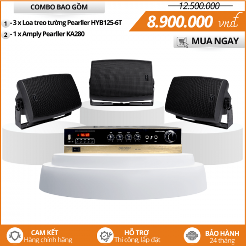 Dàn Loa Nghe Nhạc Chuyên Nghiệp Pearller HYB125-6T