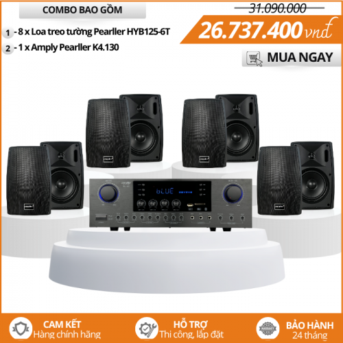 Loa Treo Tường Nghe Nhạc HYB125-6T Công suất 40W