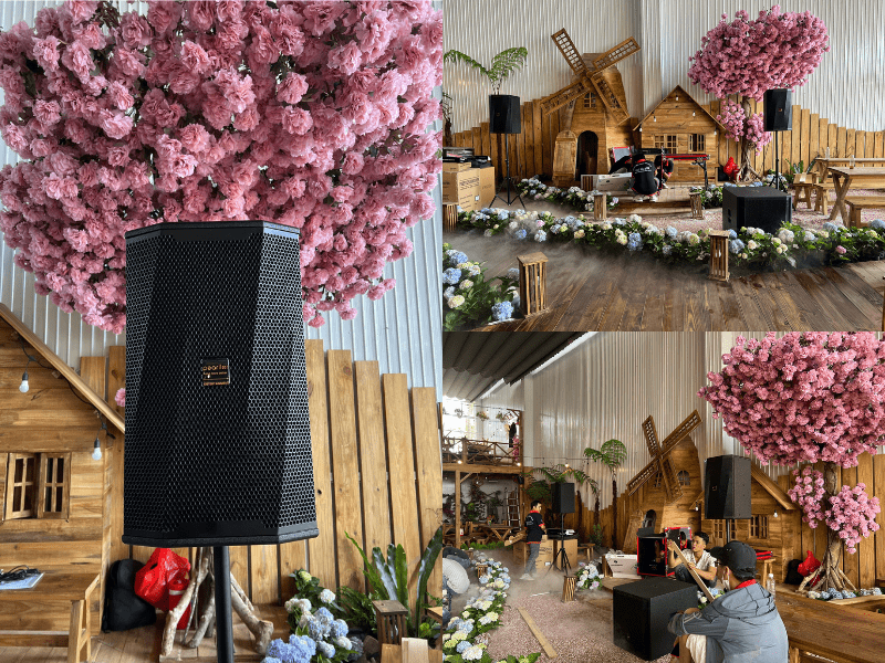 dan acoustic cho nha hang quan 7 2