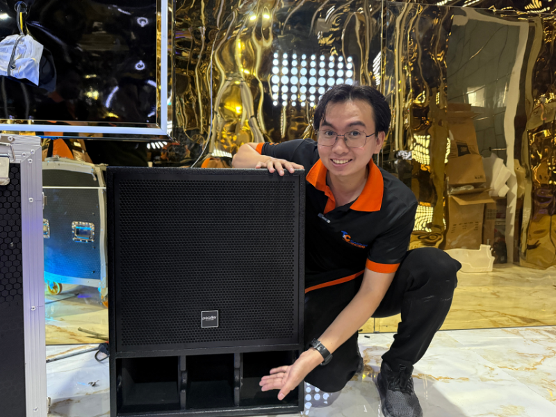 2loa active va passive la gi