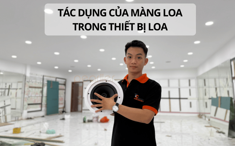 3cac loai mang loa tren thi truong cach chon cho dung voi nhu cau