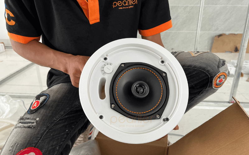 8cac loai mang loa tren thi truong cach chon cho dung voi nhu cau