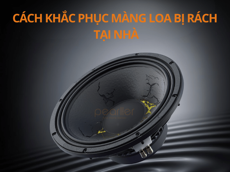 9cac loai mang loa tren thi truong cach chon cho dung voi nhu cau