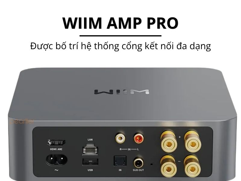 mua wiim amp pro