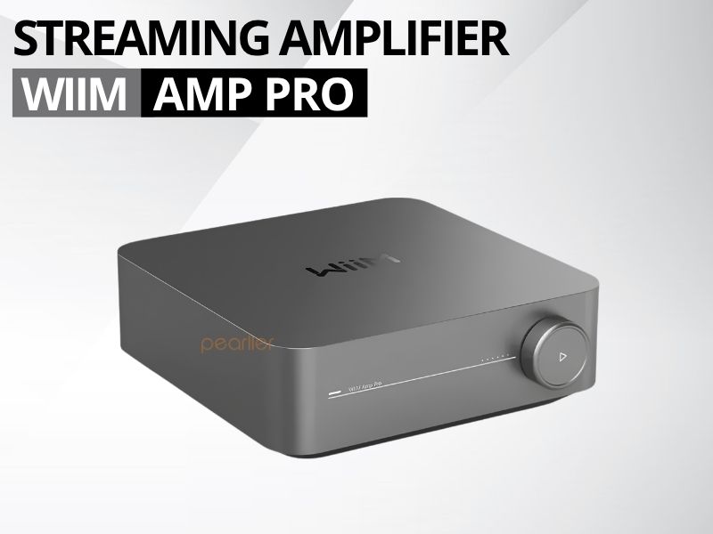 amply wiim amp pro