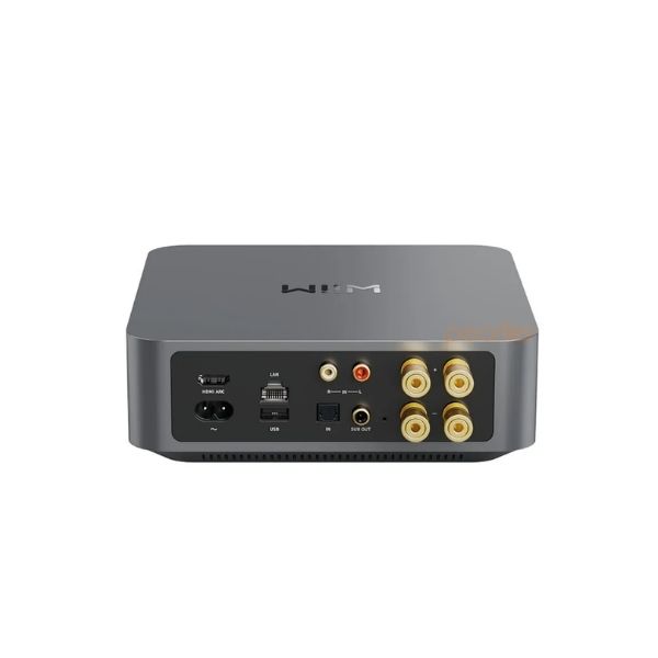 Amply WiiM Amp Pro