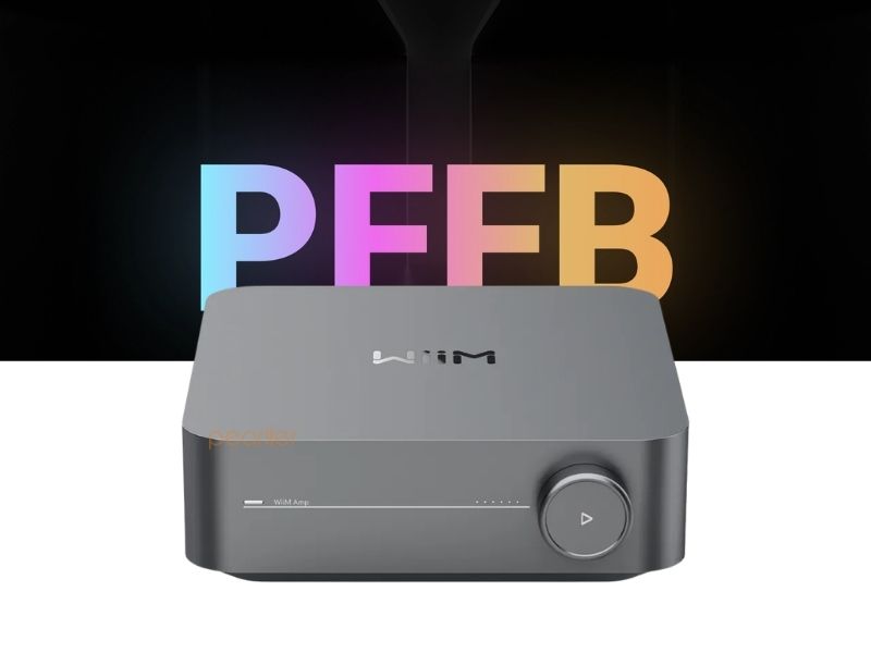 wiim amp pro uy tin