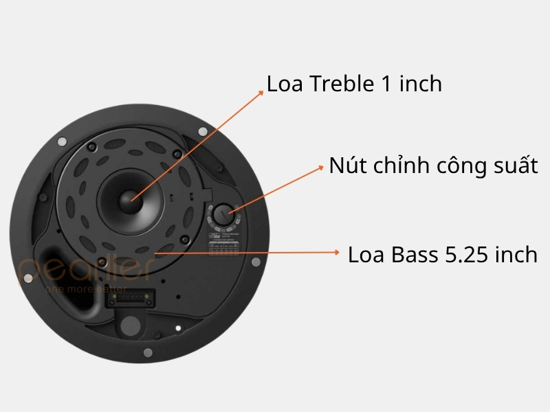 loa am tran bose designmax