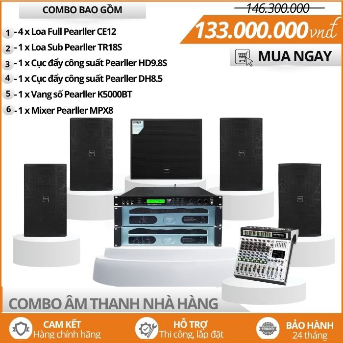 Dàn âm thanh nhà hàng chơi DJ tiêu chuẩn Pearller CE12