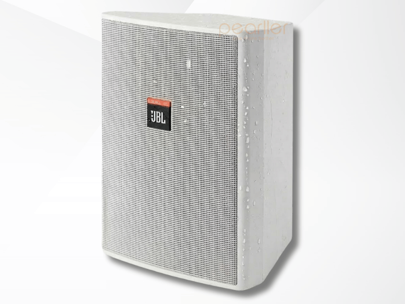 1 Loa Treo Tường JBL Control 25AV LS