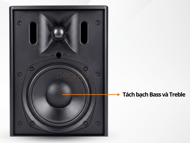 1 Loa Treo Tường JBL Control 25AV LS