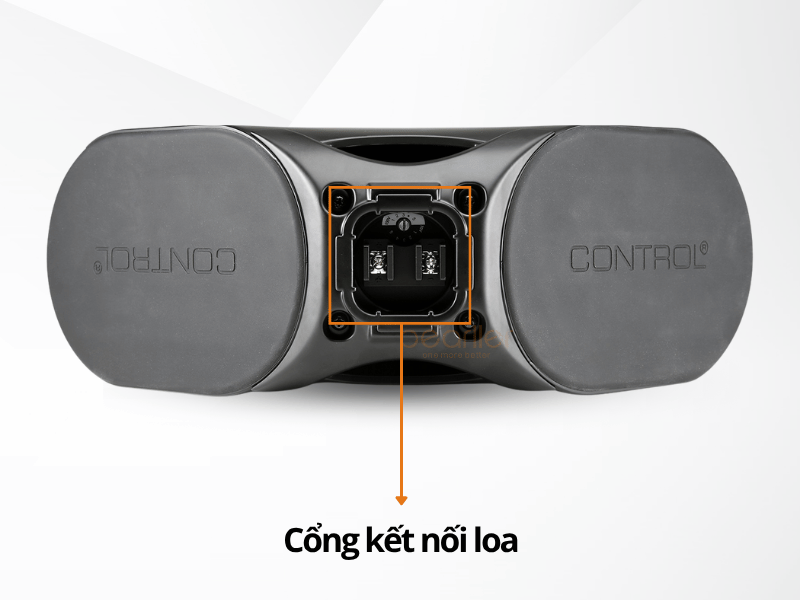 1 Loa Treo Tường JBL Control CRV
