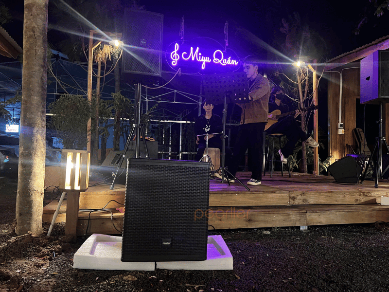 2bo dan acoustic nho gon pearller smart 12