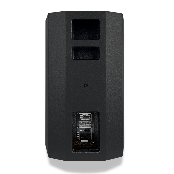 Loa Full Pearller CE12 - Loa Bass 30 chuyên nghiệp