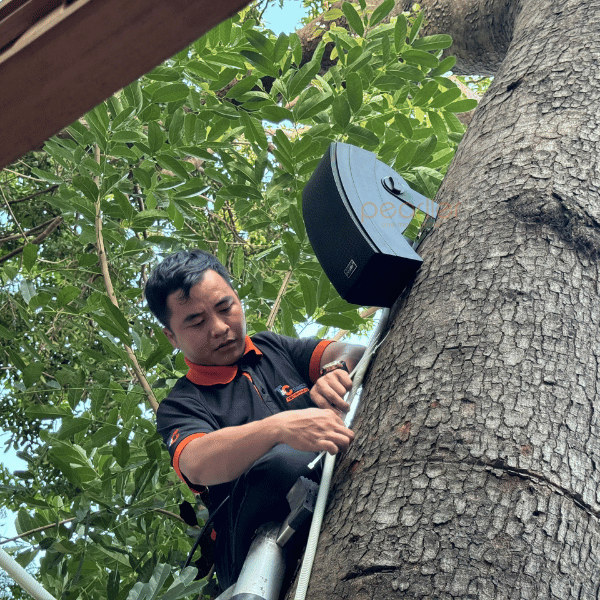 loa treo tuong pearller chinh hang