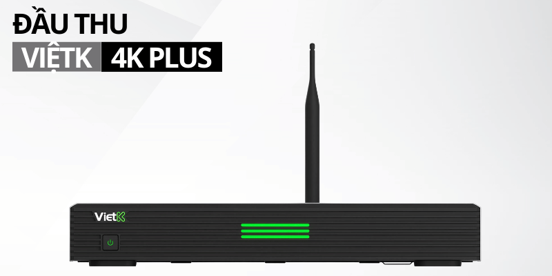 dau vietk 4k plus 6tb