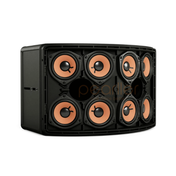 Loa Bose 802 Series V