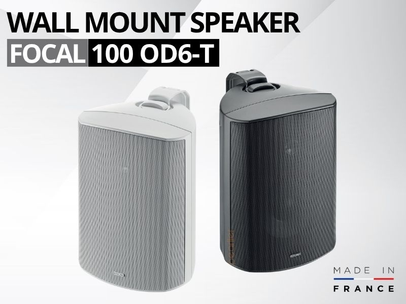 loa am tuong focal 100 iw6