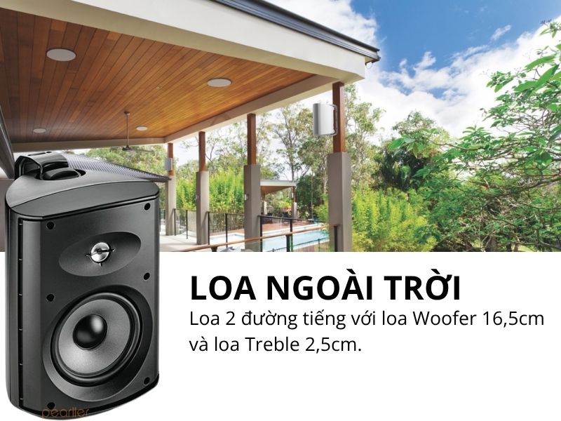loa focal 100 od6 t
