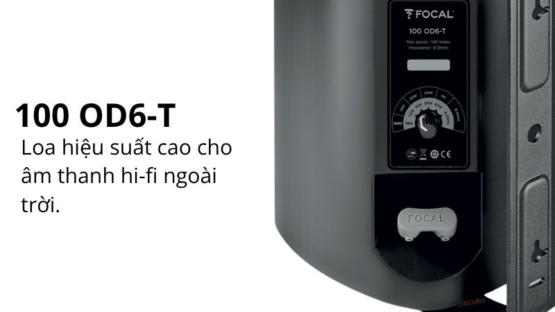 loa treo tuong focal 100 od6 t