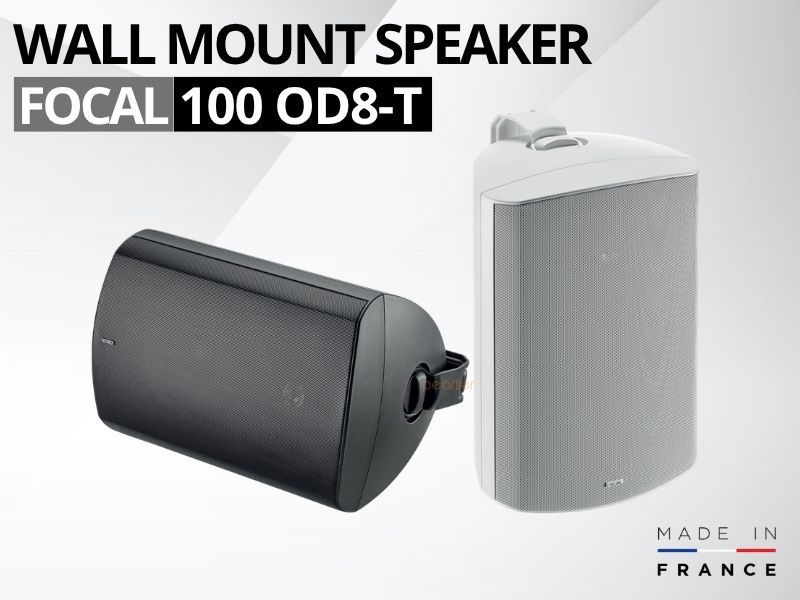 loa am tuong focal 100 iw6