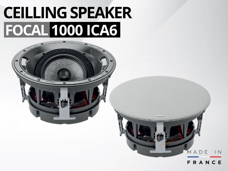 loa am tran focal 1000 ica6 (2)