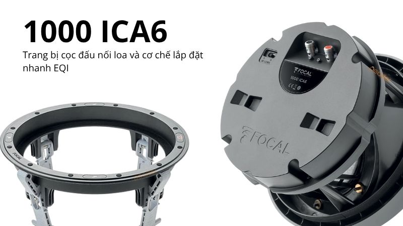 loa focal 1000 ica6 (2)