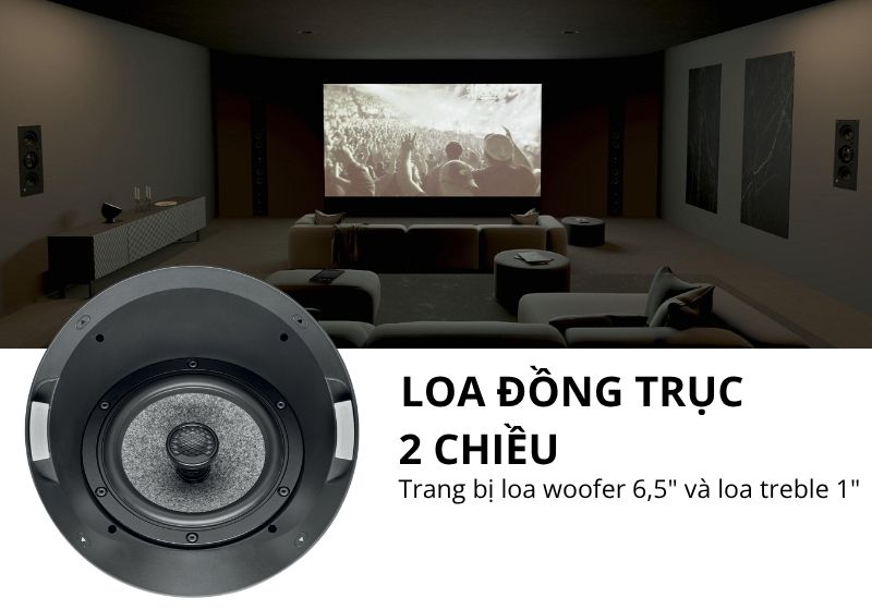 loa focal 1000 ica6 (3)