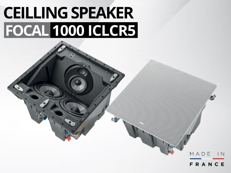 loa am tran focal 1000 icw6