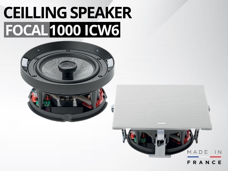 loa am tran focal 1000 icw6 (2)
