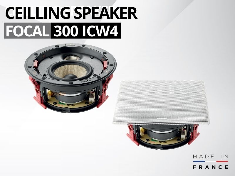 loa am tran focal 300 icw4