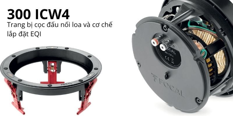 loa focal 300 icw4 (3)