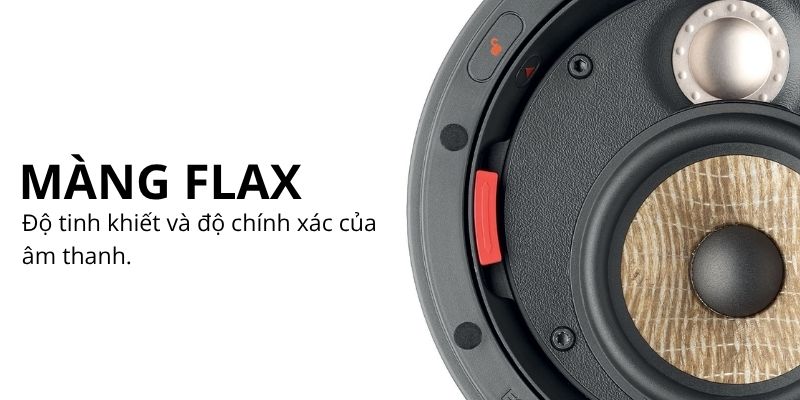 loa focal 300 icw4 (4)