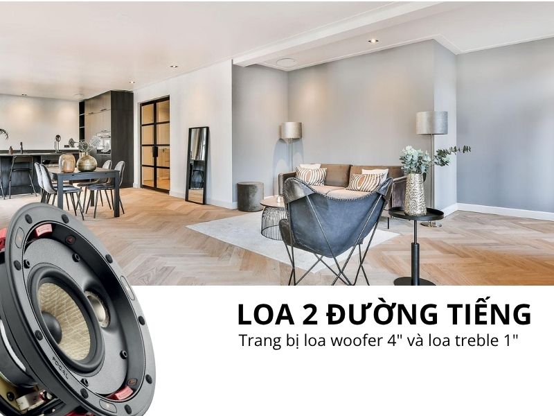 loa nghe nhac hi fi focal 300 icw (2)