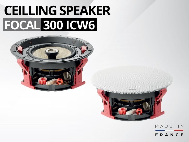 loa am tran focal 300 icw6 (2)