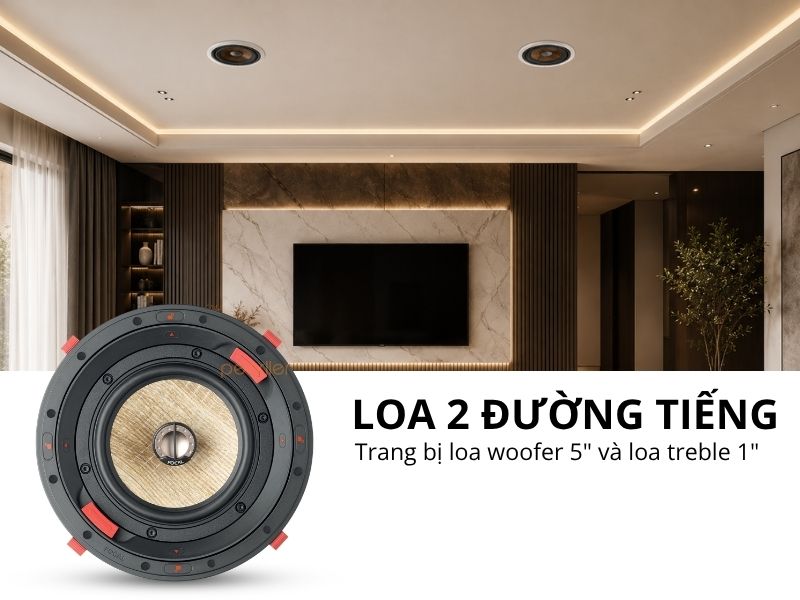loa am tran focal 300 icw6 (3)
