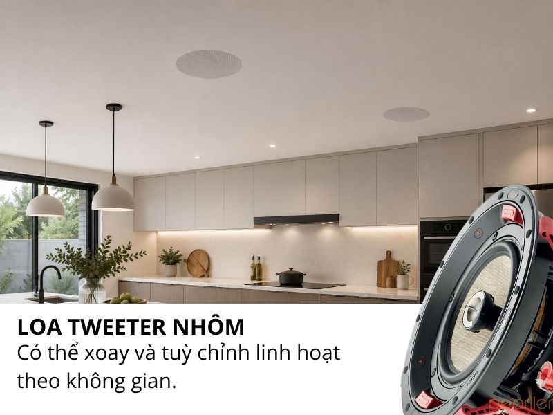 loa am tran focal 300 icw6 (4)