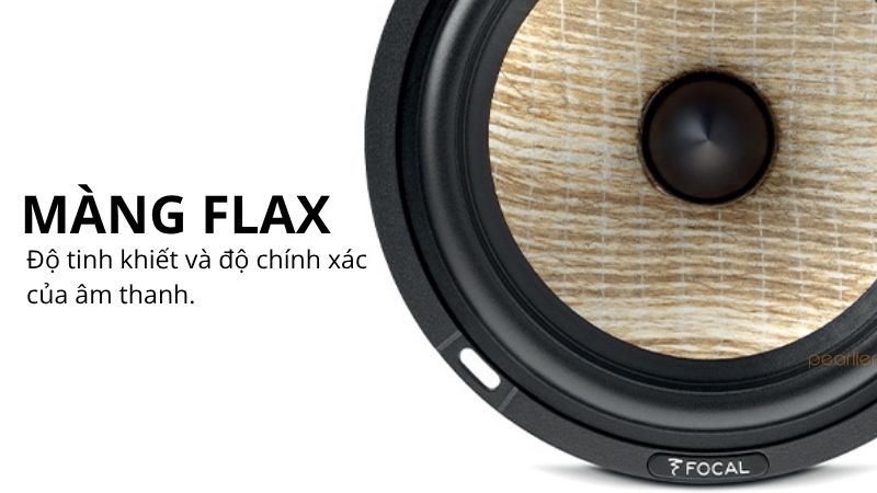 loa am tran focal 300 icw6 (5)