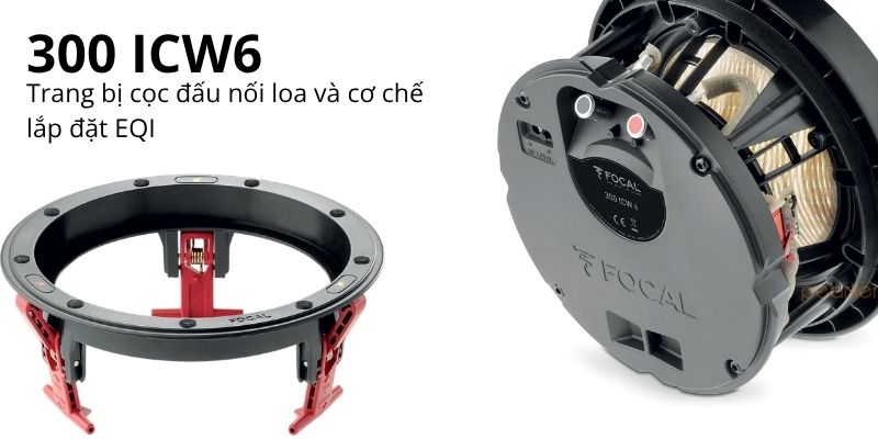 loa focal 300 icw6 (2)