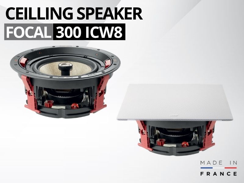 loa am tran focal 300 icw8 (2)
