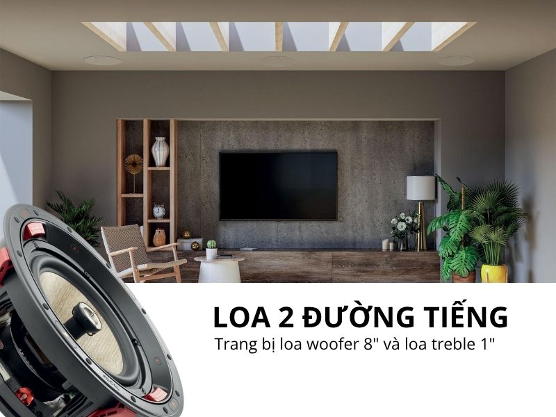 loa am tran phong phim focal 300 icw8
