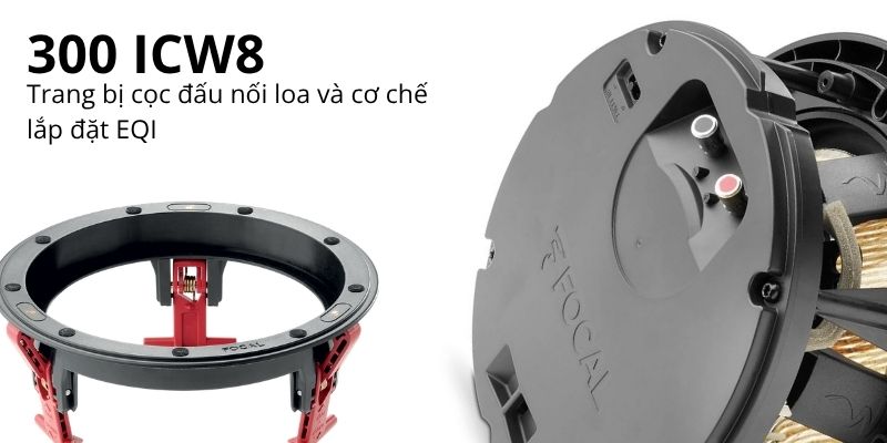loa focal 300 icw8 (3)